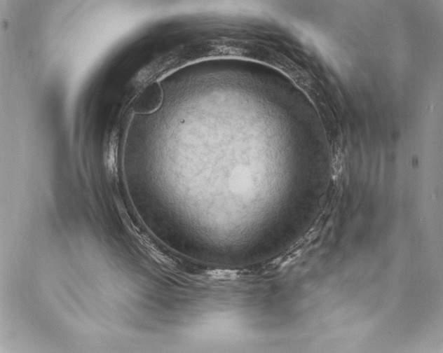 X0000088740052200706141713