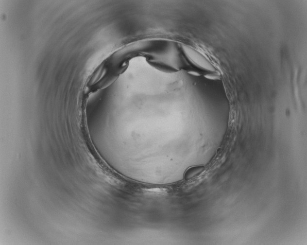 X0000088740053200706141713