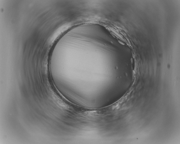 X0000088740054200706141713