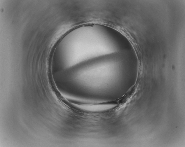 X0000088740055200706141713