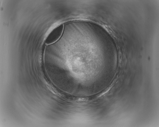 X0000088740056200706141713