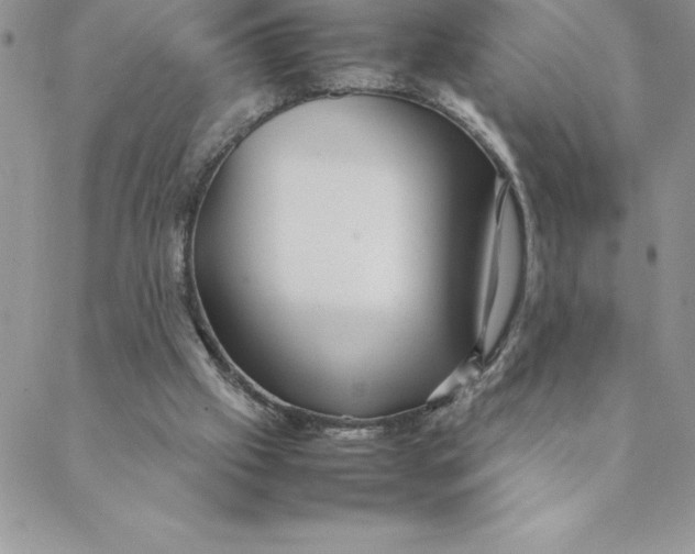 X0000088740057200706141713