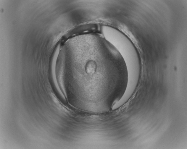 X0000088740058200706141713