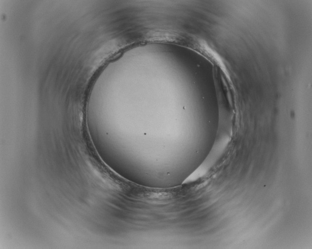 X0000088740059200706141713