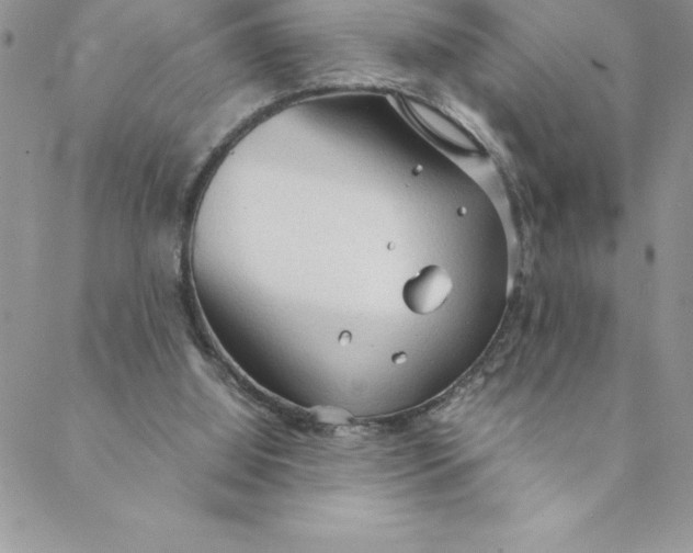 X0000088740060200706141713