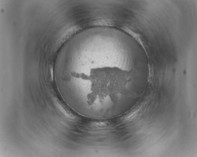 X0000088740061200706141713