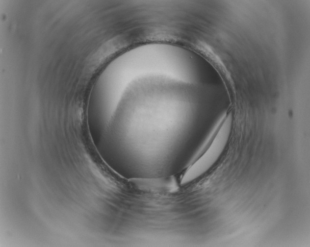 X0000088740063200706141713