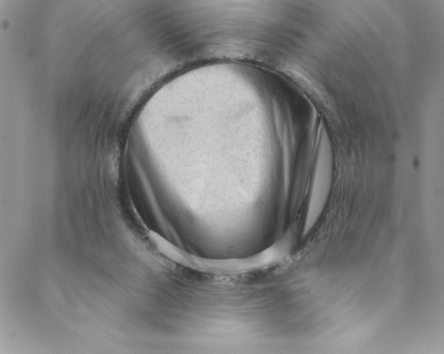 X0000088740064200706141713