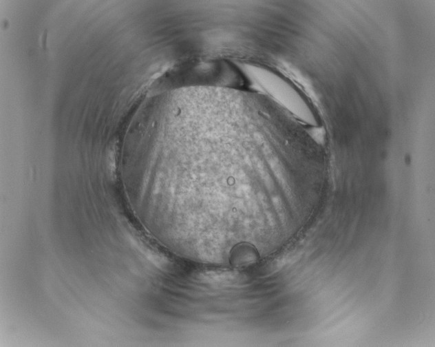 X0000088740065200706141713