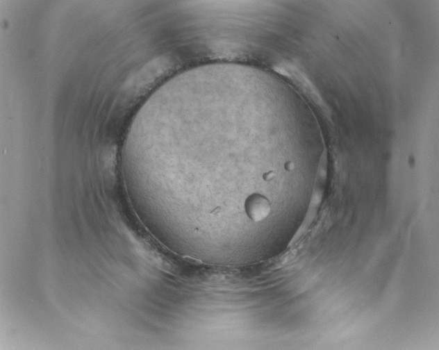 X0000088740066200706141713