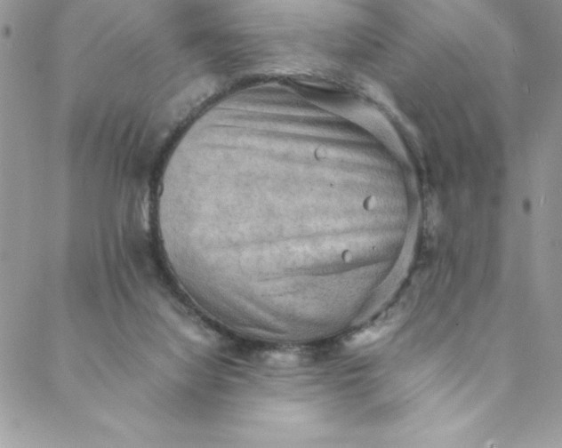 X0000088740068200706141713