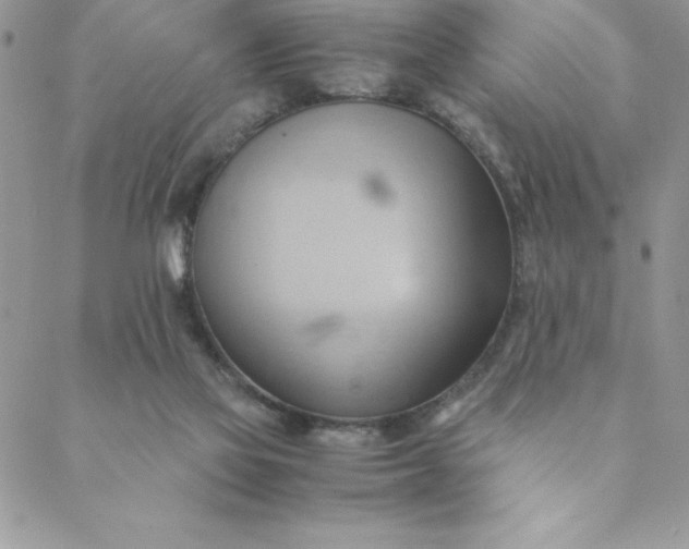 X0000088740069200706141713