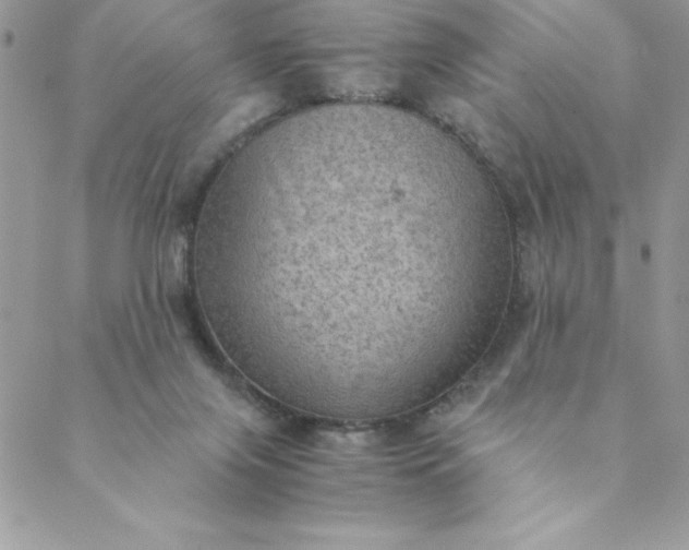 X0000088740071200706141713