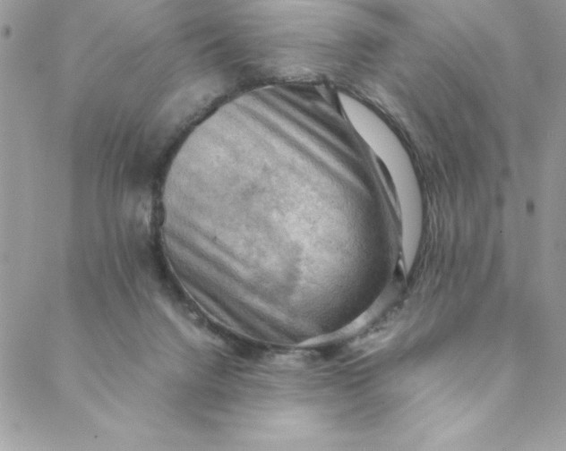 X0000088740072200706141713