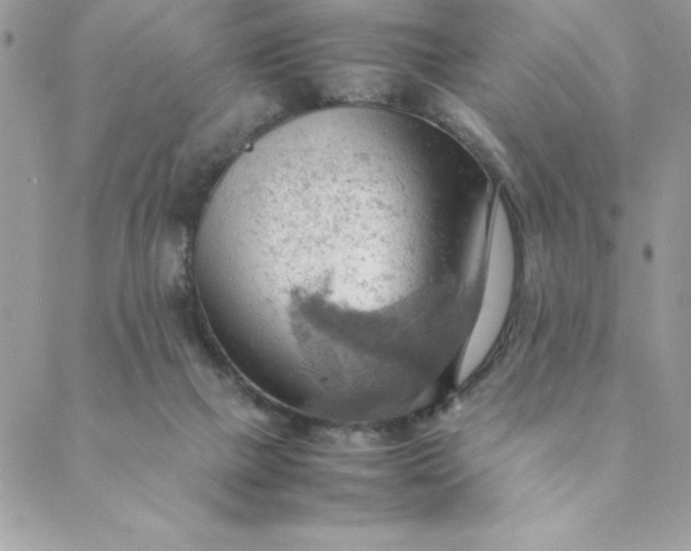 X0000088740073200706141713