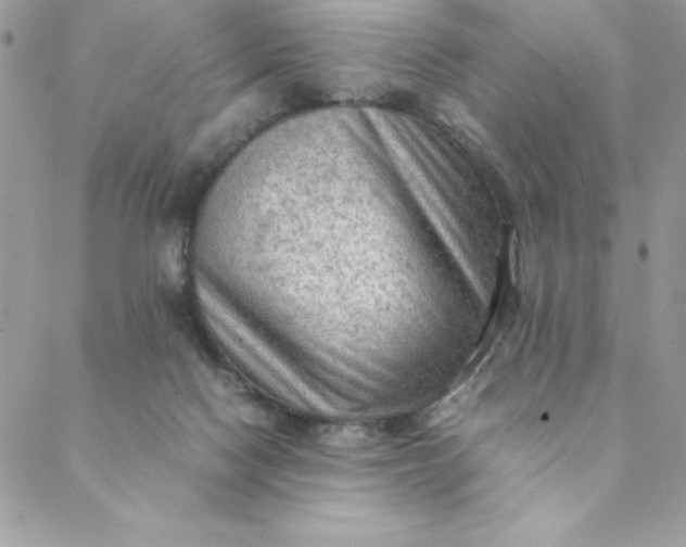 X0000088740074200706141713