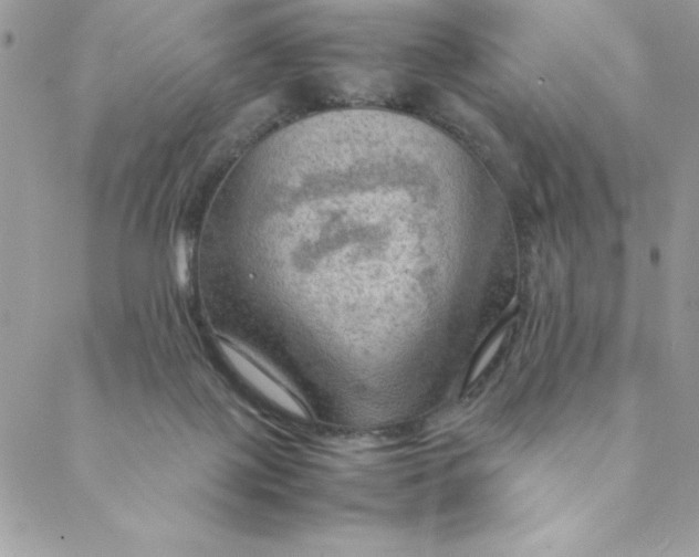 X0000088740075200706141714