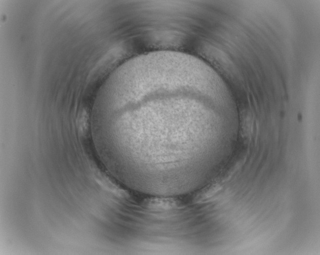 X0000088740077200706141714