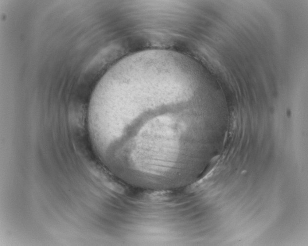 X0000088740078200706141714