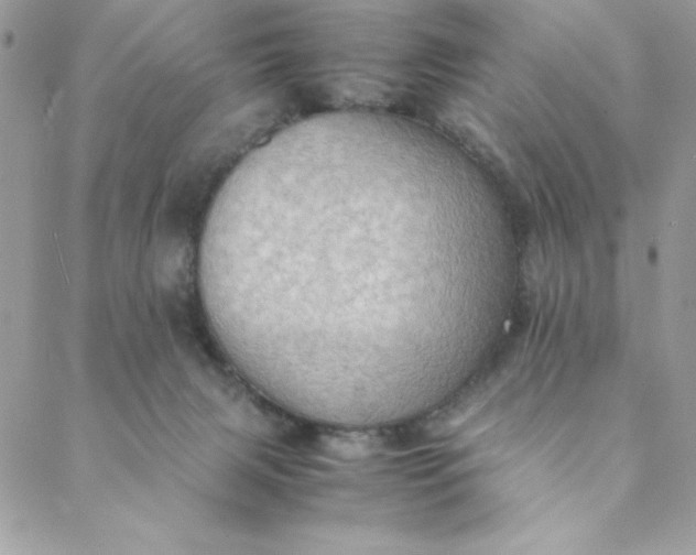 X0000088740079200706141714