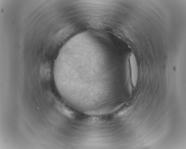 X0000088740080200706141714