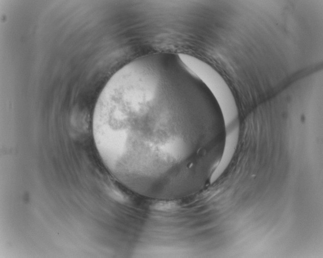 X0000088740081200706141714