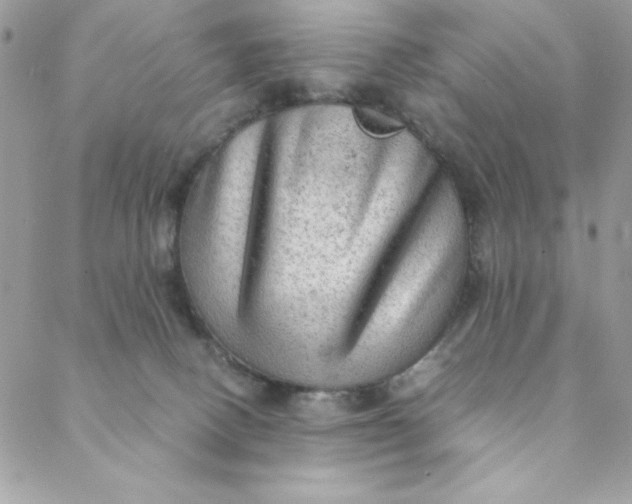 X0000088740082200706141714