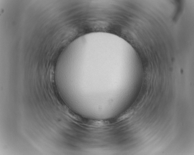 X0000088740083200706141714