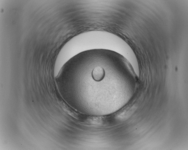 X0000088740084200706141714