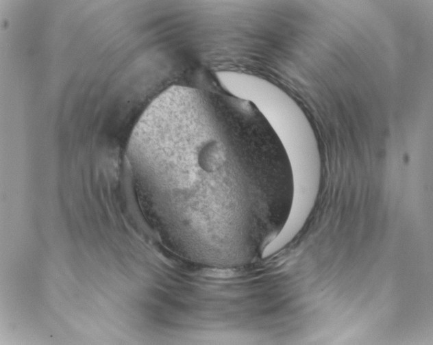 X0000088740085200706141714