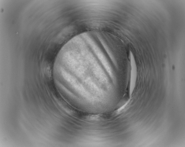 X0000088740086200706141714