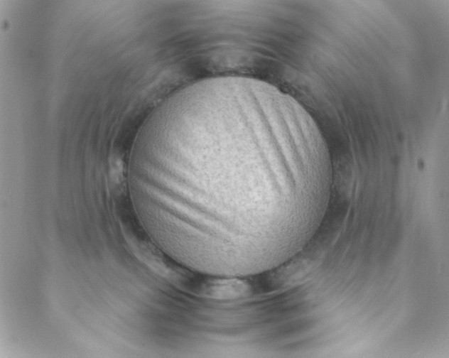 X0000088740087200706141714