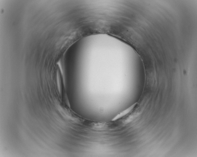 X0000088740088200706141714