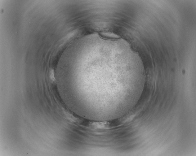 X0000088740089200706141714