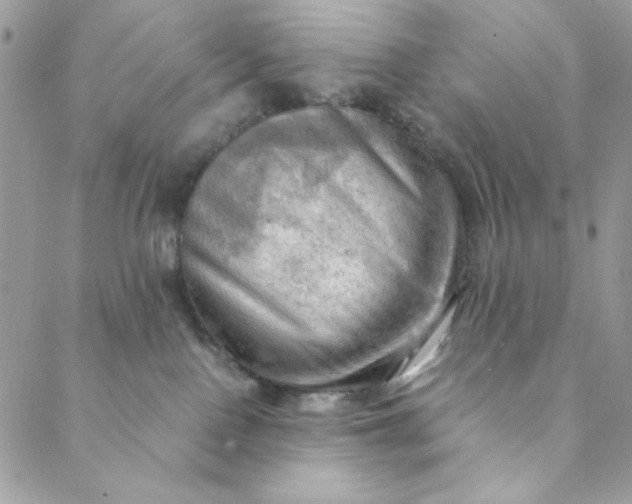 X0000088740090200706141714