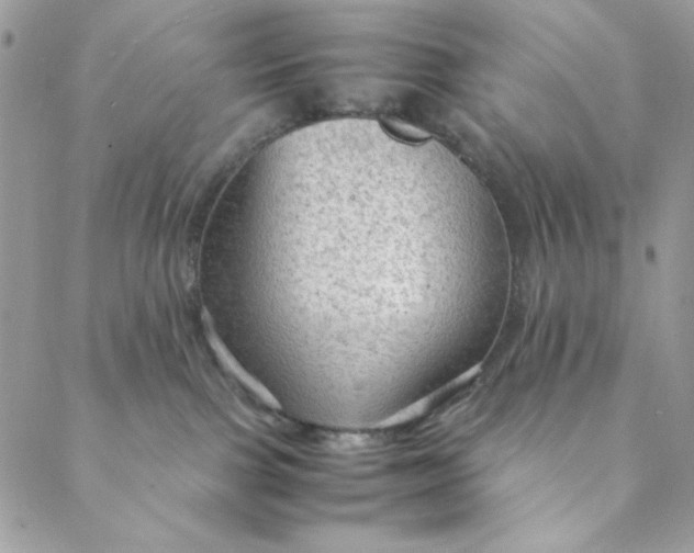 X0000088740091200706141714