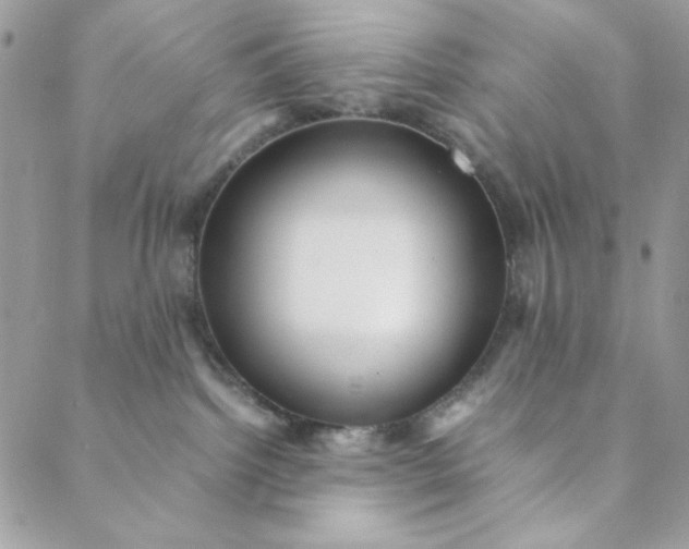 X0000088740092200706141714