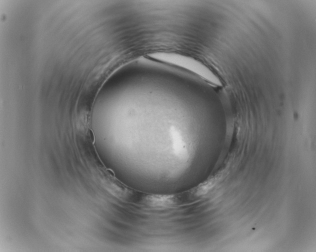 X0000088740093200706141714