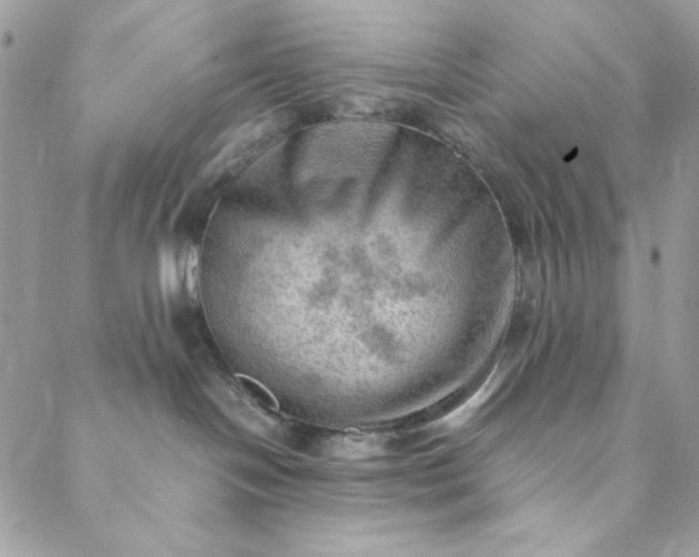 X0000088740094200706141714