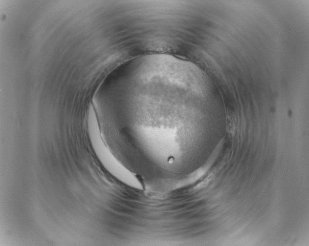 X0000088740095200706141714