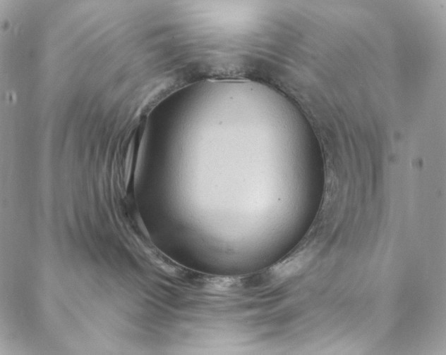 X0000088740096200706141714