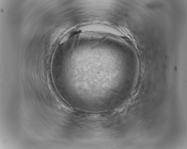 X0000088740097200706141713