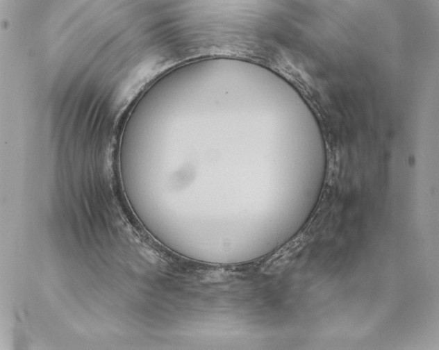 X0000088740098200706141713