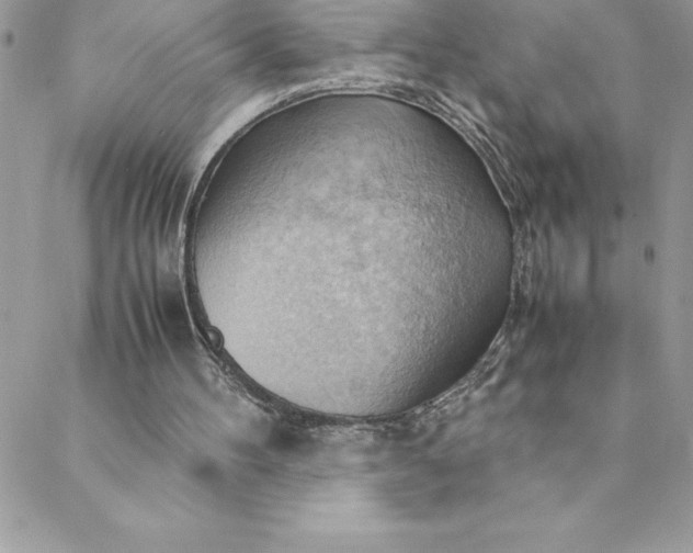 X0000088740100200706141713