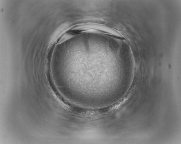 X0000088740101200706141713