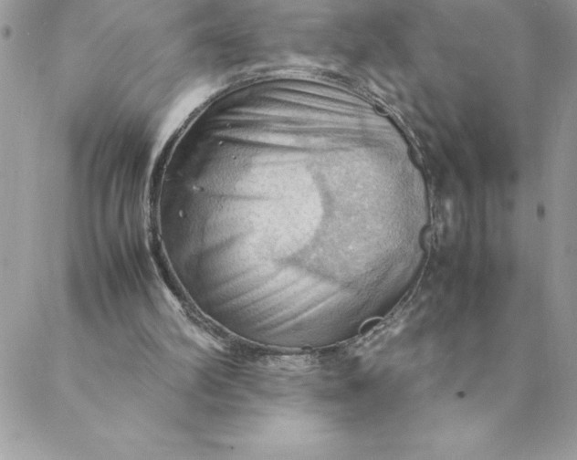 X0000088740102200706141713