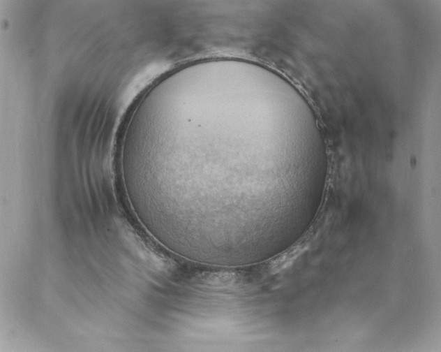 X0000088740104200706141713