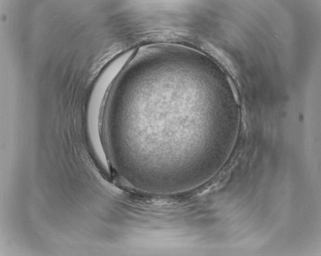 X0000088740105200706141713