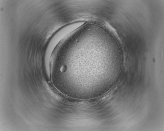 X0000088740106200706141713