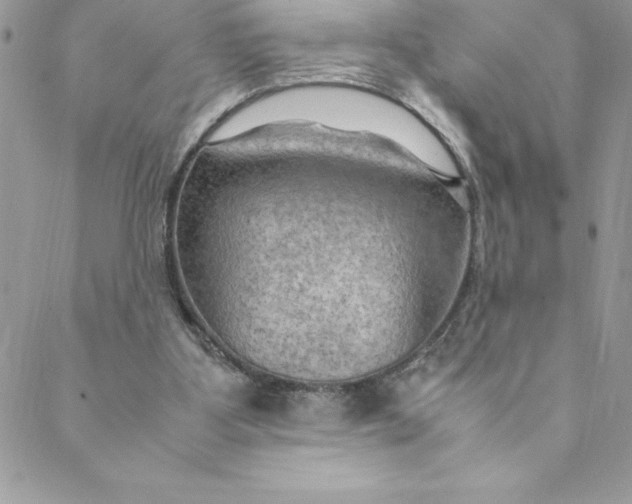 X0000088740107200706141713